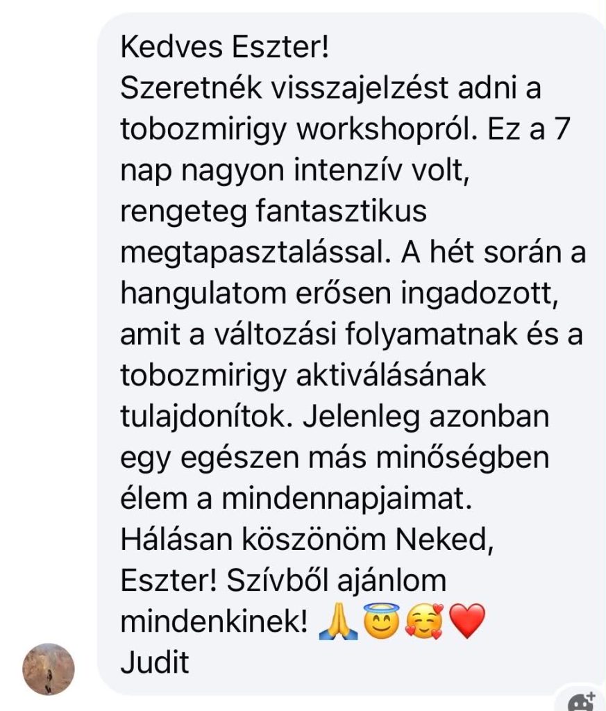 toboz-ref2